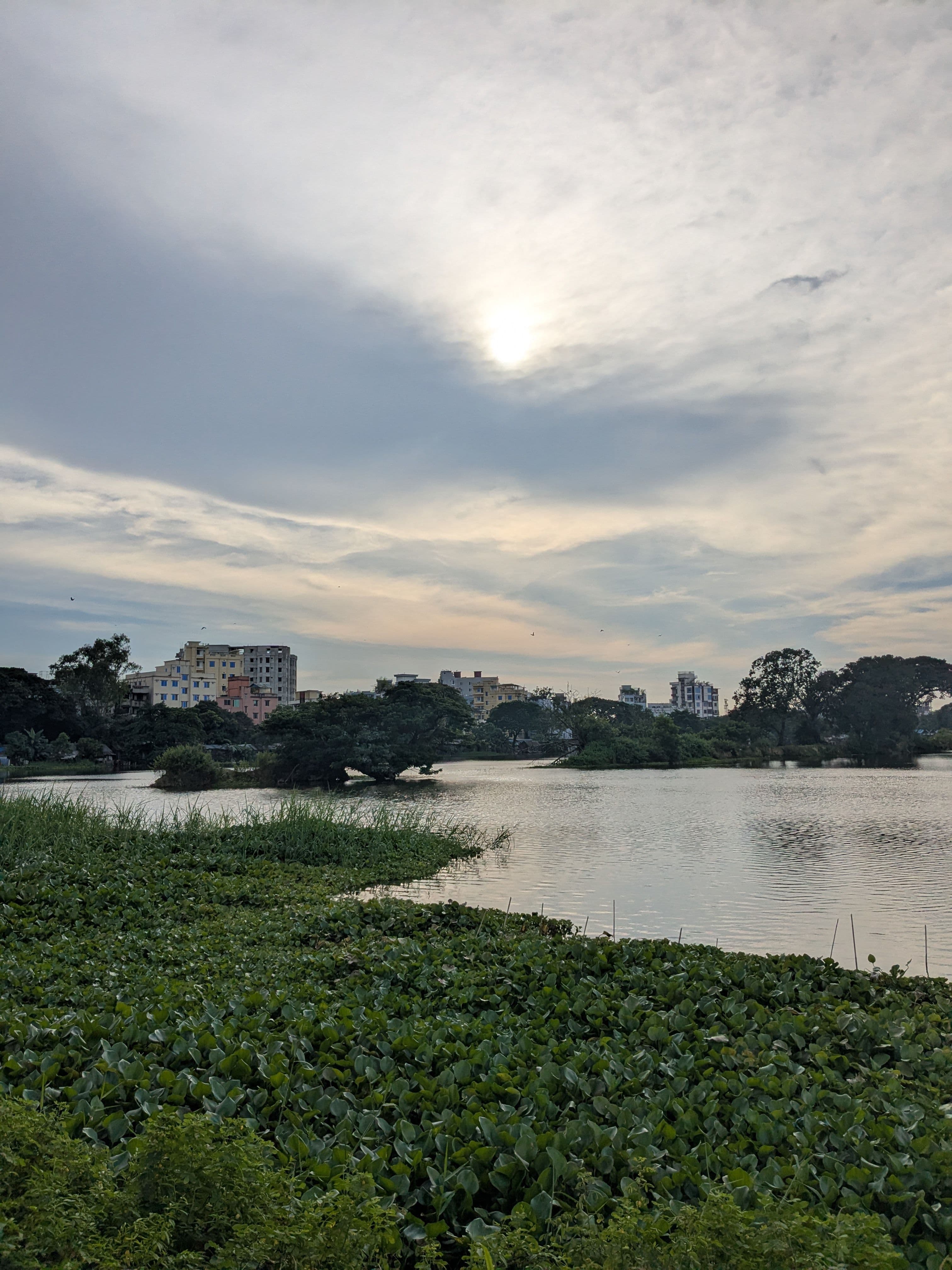 সমাপ্তির রংচঙ, ৪ঠা নভেম্বরের গল্প